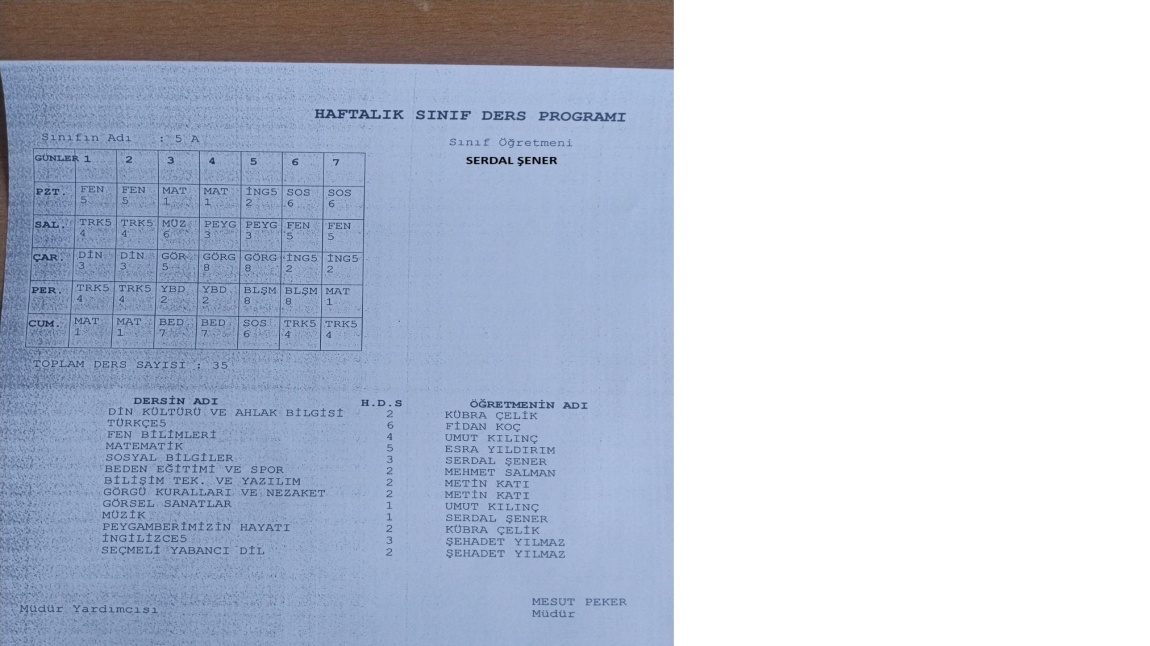 Haftalık Ders Programları